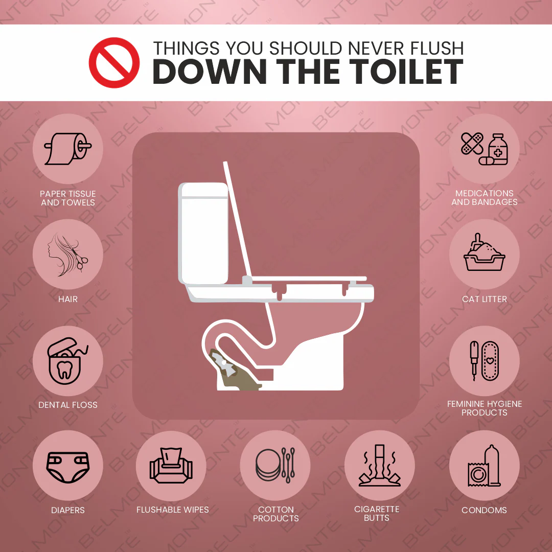 Ceramic Western Toilet (Dune) - Image 6